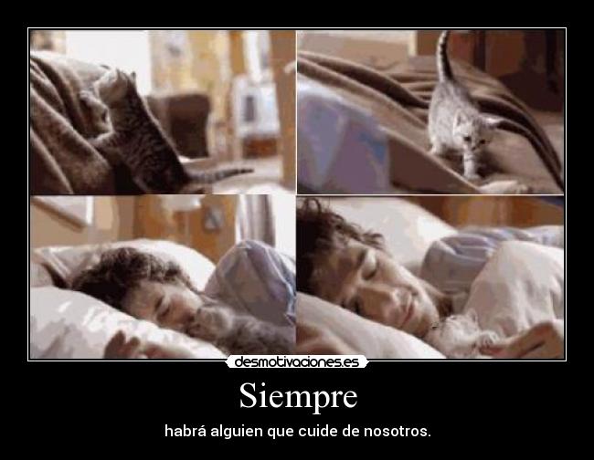 Siempre -