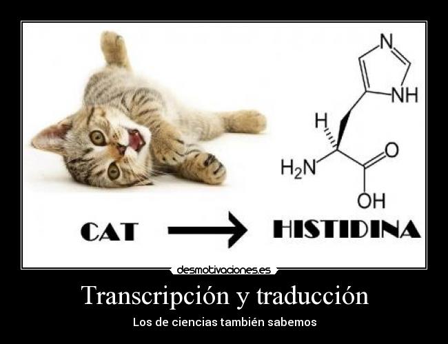 Transcripción y traducción - Los de ciencias también sabemos