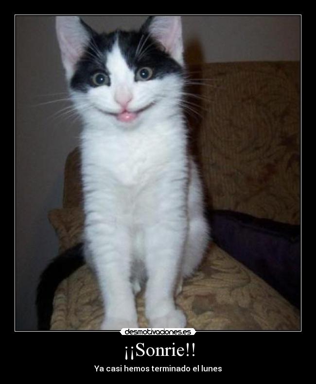 ¡¡Sonrie!! - Ya casi hemos terminado el lunes