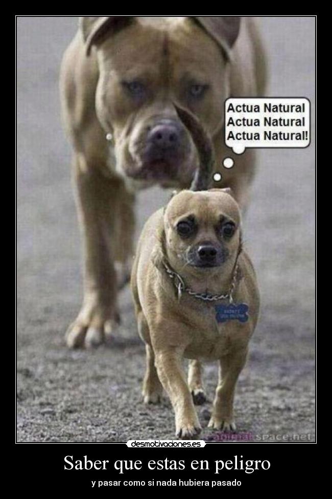 Saber que estas en peligro - y pasar como si nada hubiera pasado