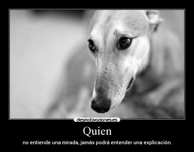 Quien - no entiende una mirada, jamás podrá entender una explicación.