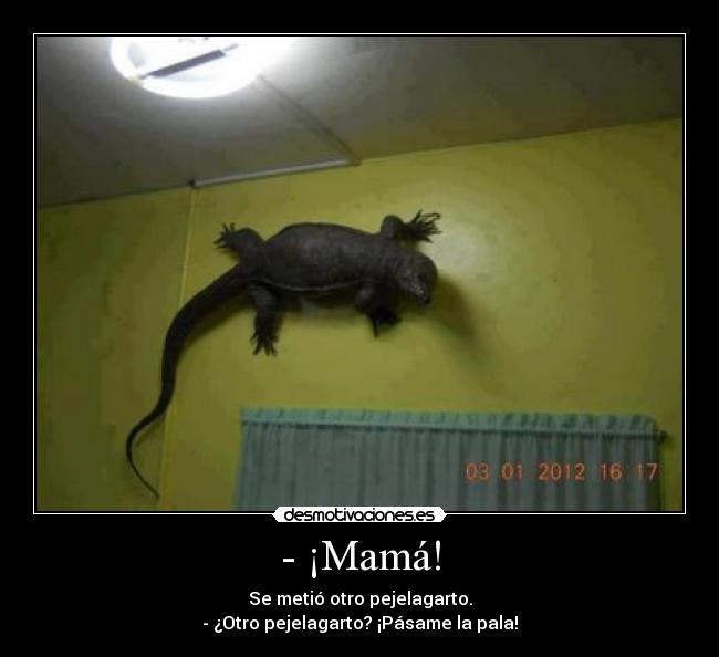 Imágenes, Carteles y Desmotivaciones de pejelagarto dragon Imágenes, Carteles y Desmotivaciones de pejelagarto dragon