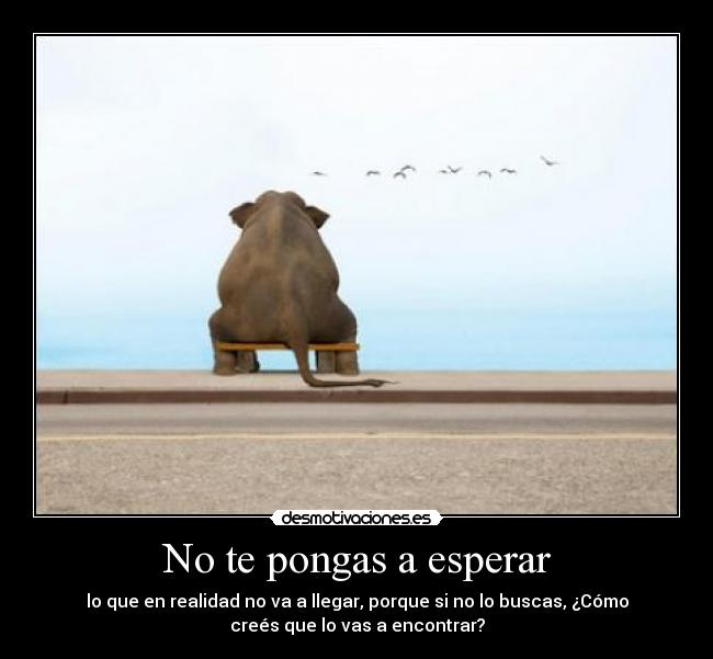 No te pongas a esperar - lo que en realidad no va a llegar, porque si no lo buscas, ¿Cómo
creés que lo vas a encontrar?