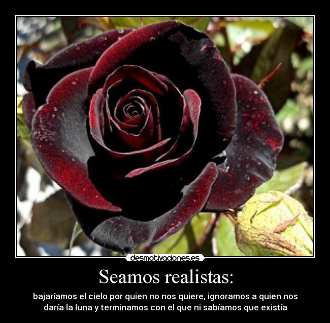 Seamos realistas: - bajaríamos el cielo por quien no nos quiere, ignoramos a quien nos
daría la luna y terminamos con el que ni sabíamos que existía