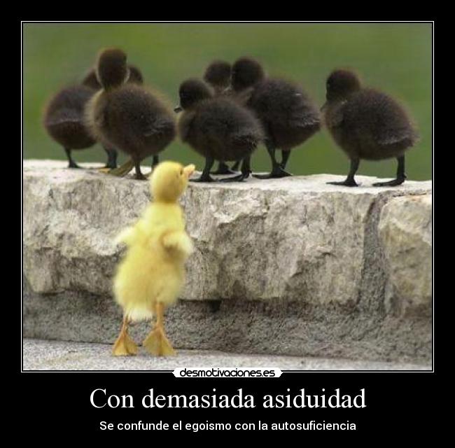 Con demasiada asiduidad - 