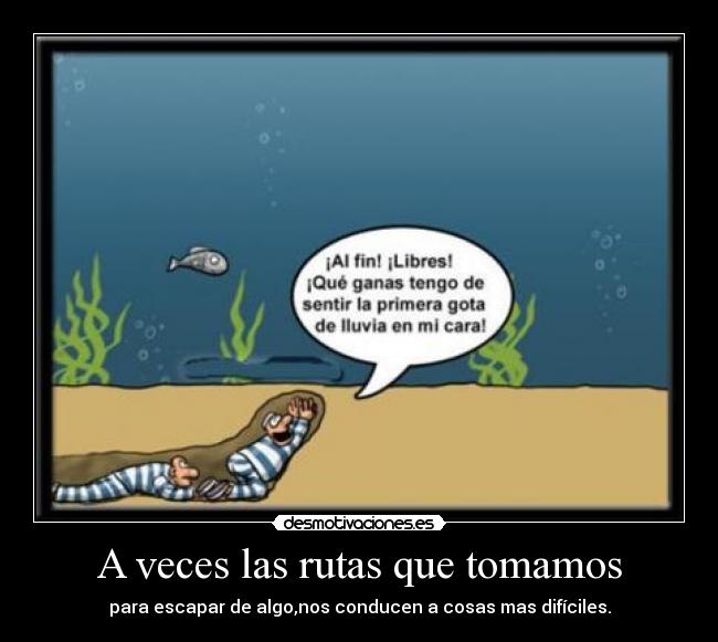 A veces las rutas que tomamos -