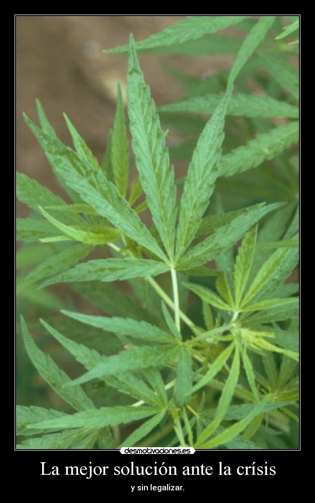 La mejor solución ante la crísis - y sin legalizar.