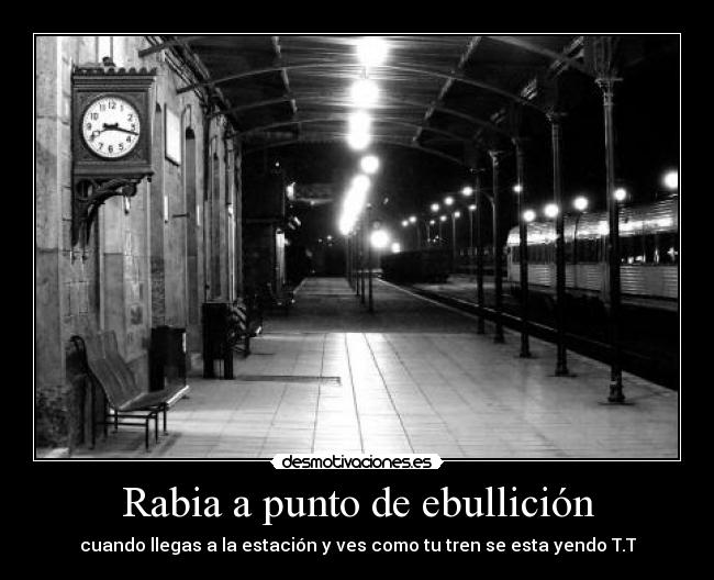 Rabia a punto de ebullición - 