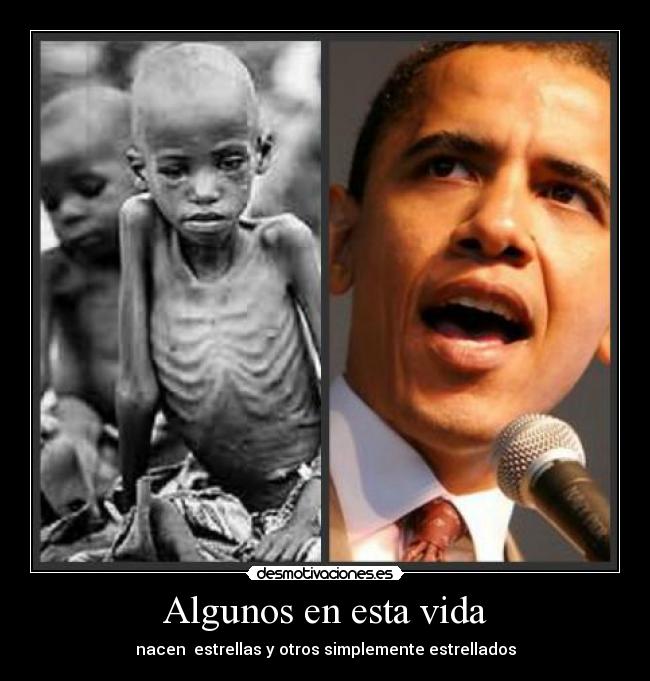 Algunos en esta vida - nacen estrellas y otros simplemente estrellados