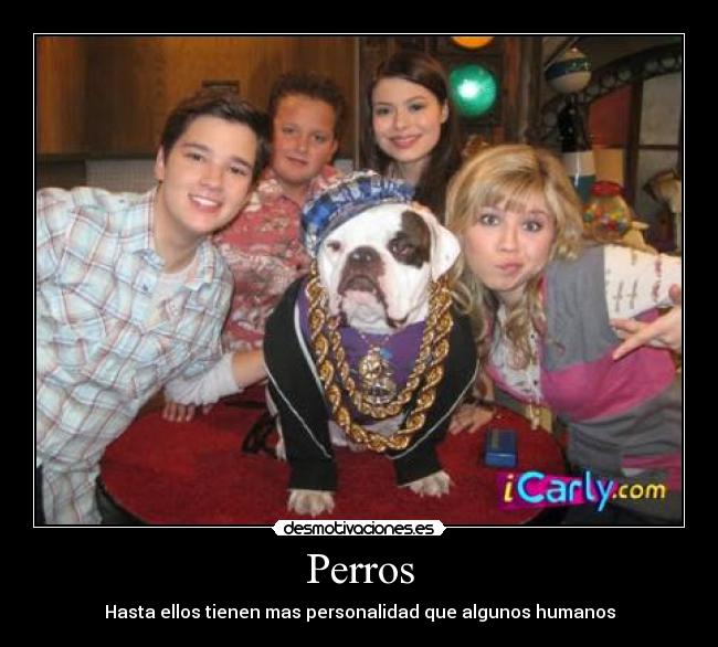 Perros - Hasta ellos tienen mas personalidad que algunos humanos