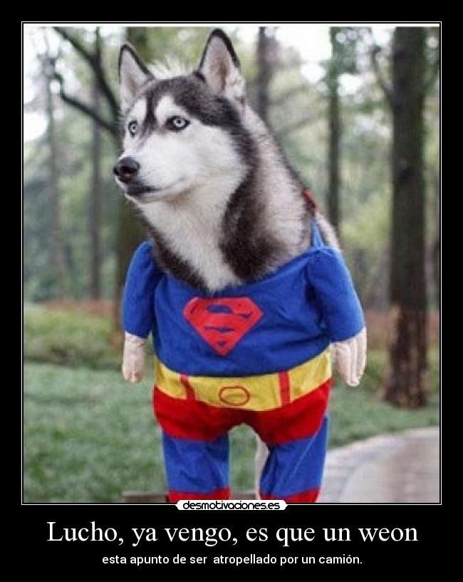 Lucho, ya vengo, es que un weon -