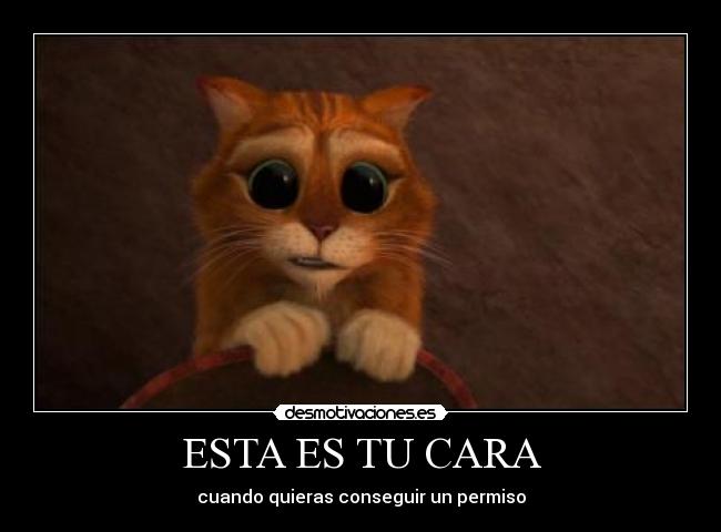 ESTA ES TU CARA - cuando quieras conseguir un permiso