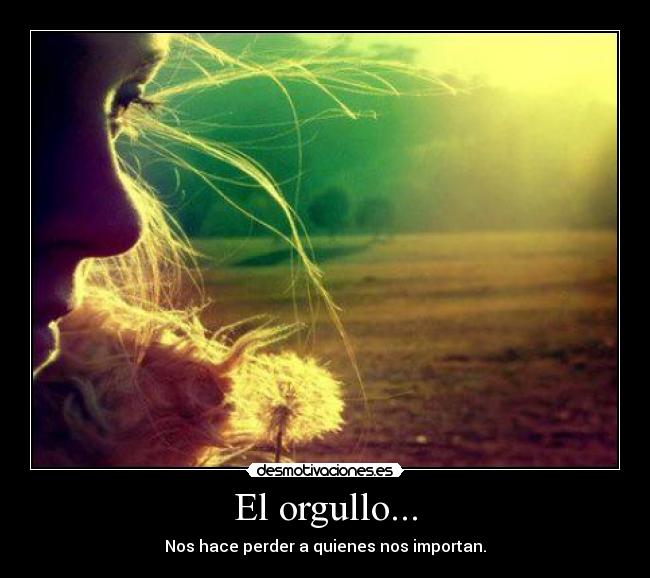 carteles orgullo nos hace perder quienes importan desmotivaciones