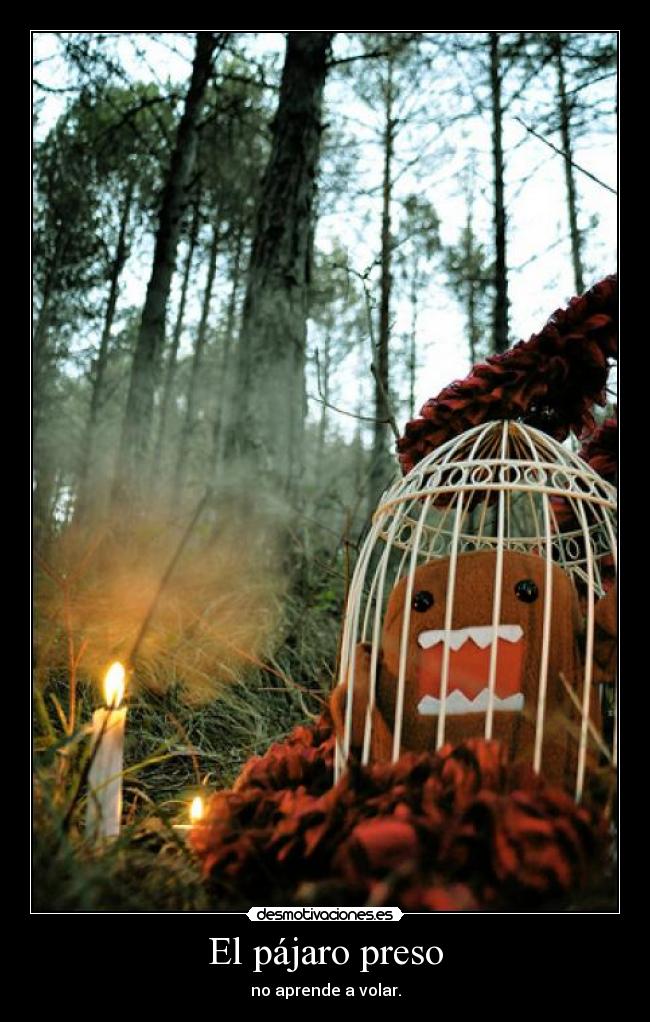 carteles pajaro preso desmotivaciones