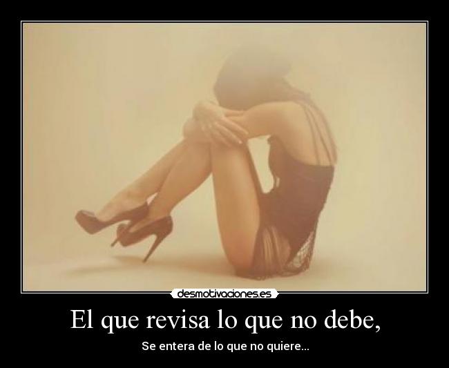 El que revisa lo que no debe, - 