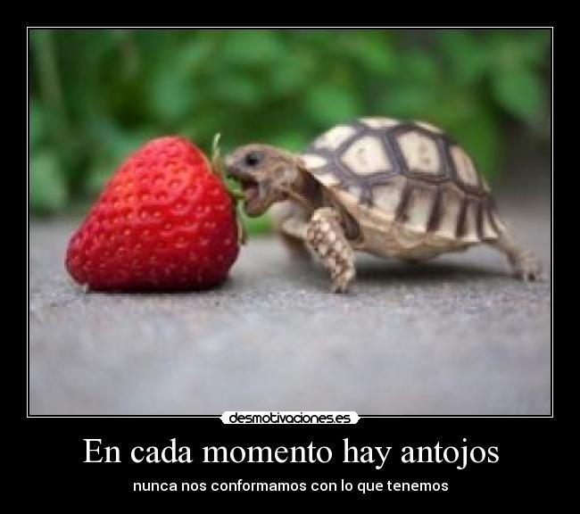 En cada momento hay antojos - nunca nos conformamos con lo que tenemos