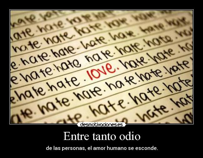 Entre tanto odio -