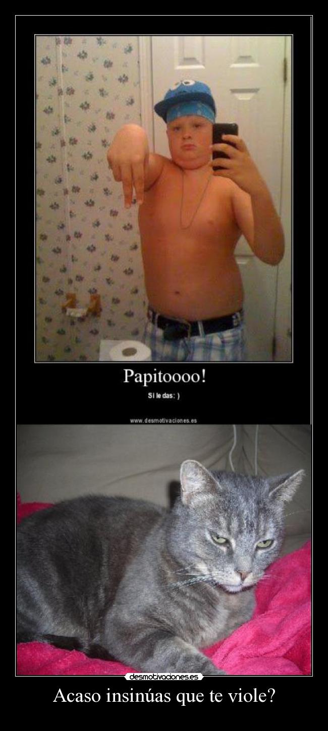 Acaso insinúas que te viole? -