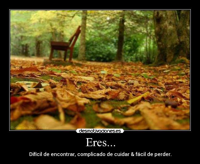 Eres... - Difícil de encontrar, complicado de cuidar & fácil de perder.