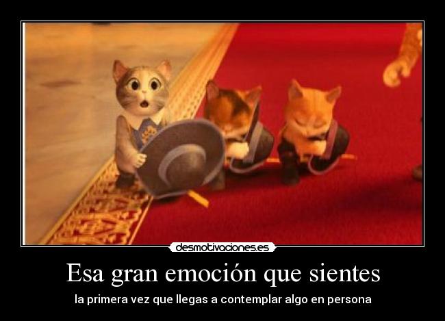 Esa gran emoción que sientes - la primera vez que llegas a contemplar algo en persona
