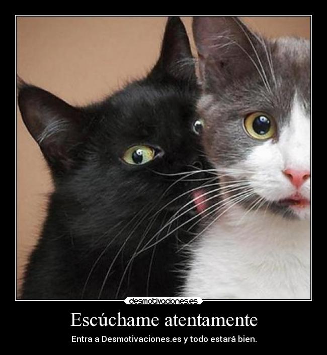 Escúchame atentamente - 
