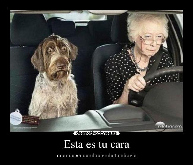 carteles xdddddd desmotivaciones