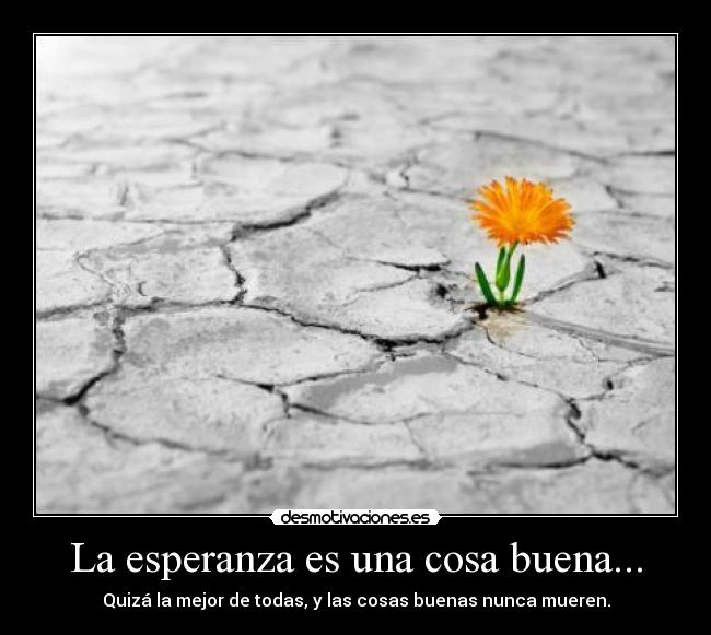 La esperanza es una cosa buena... - Quizá la mejor de todas, y las cosas buenas nunca mueren.