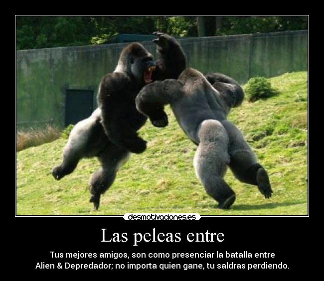 Las peleas entre -