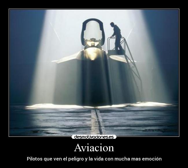 Aviacion - Pilotos que ven el peligro y la vida con mucha mas emoción