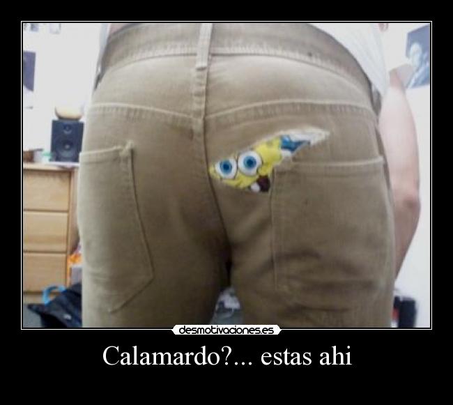 Calamardo?... estas ahi -