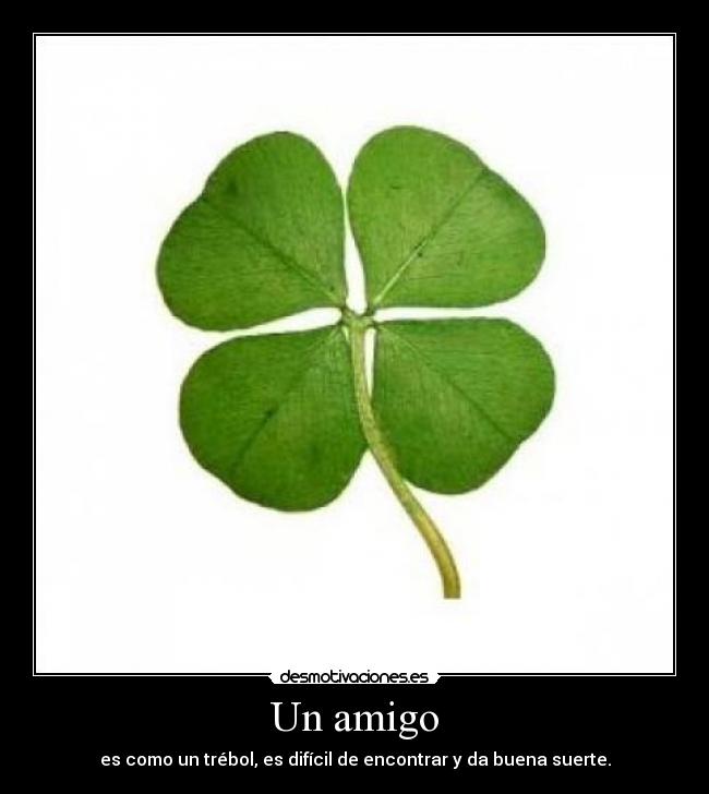 Un amigo - 