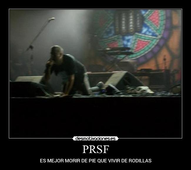 carteles silvia estevez desmotivaciones