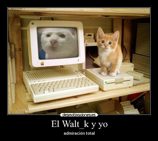 El Walt_k y yo -
