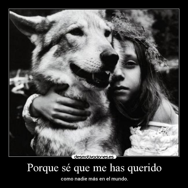 Porque sé que me has querido -