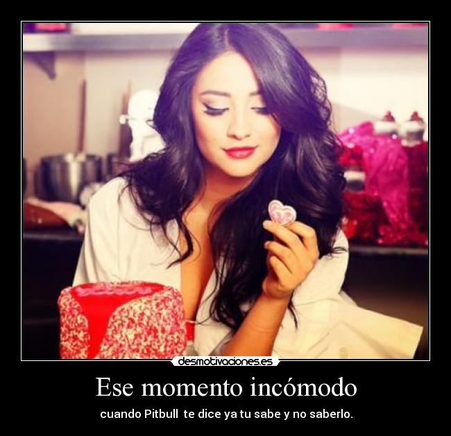 Ese momento incómodo - cuando Pitbull  te dice ya tu sabe y no saberlo.