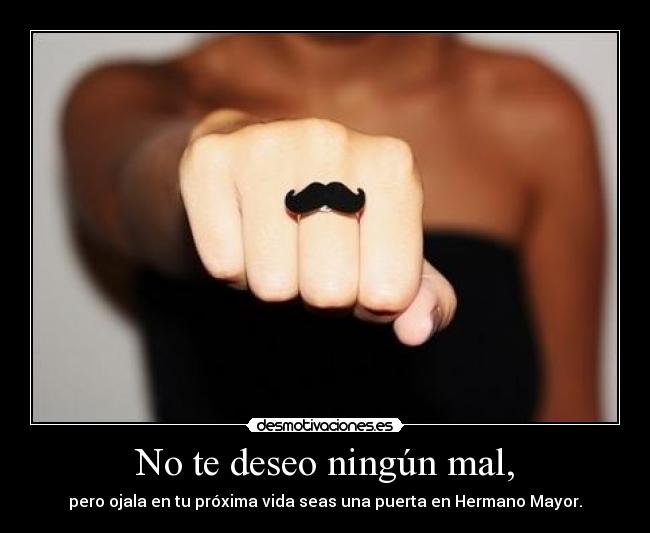 No te deseo ningún mal, - pero ojala en tu próxima vida seas una puerta en Hermano Mayor.