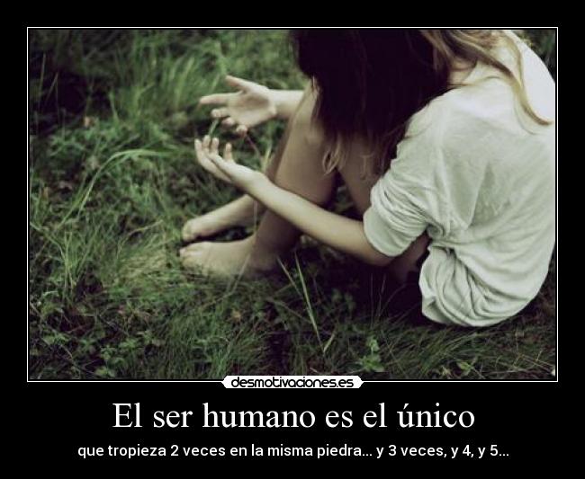 El ser humano es el único - que tropieza 2 veces en la misma piedra... y 3 veces, y 4, y 5...