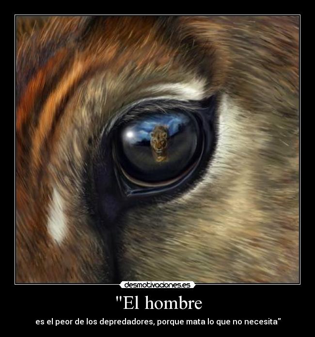 El hombre - es el peor de los depredadores, porque mata lo que no necesita