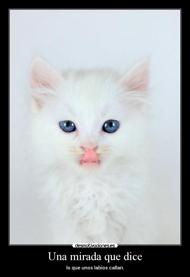 Una mirada que dice - lo que unos labios callan.