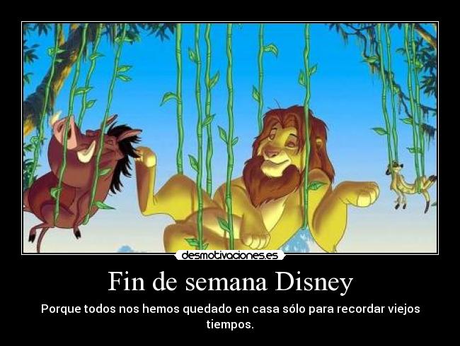 Fin de semana Disney -