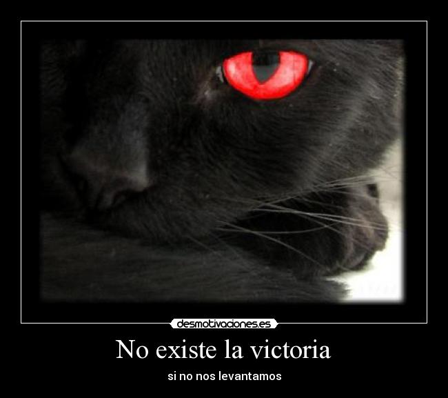 No existe la victoria - si no nos levantamos