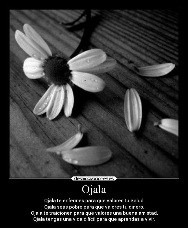 Ojala - Ojala te enfermes para que valores tu Salud.
Ojala seas pobre para que valores tu dinero.
Ojala te traicionen para que valores una buena amistad.
Ojala tengas una vida difícil para que aprendas a vivir.