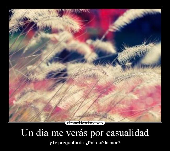 carteles casualidad desmotivaciones