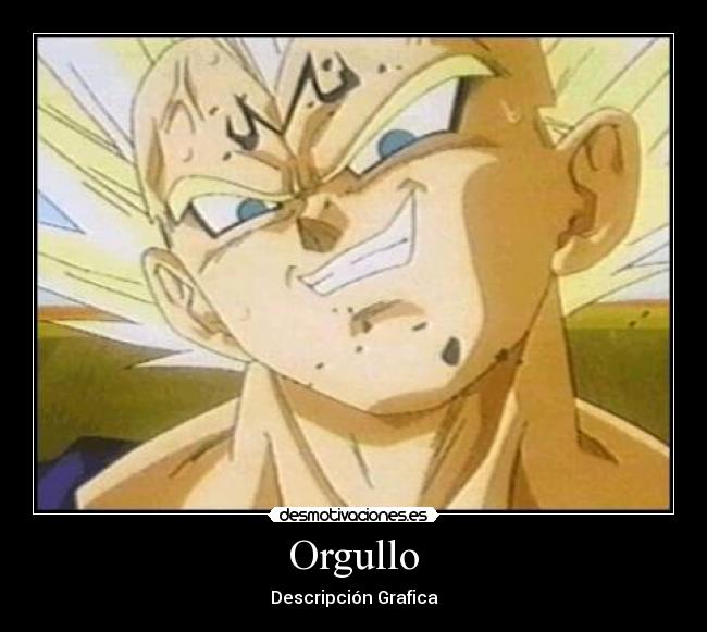 Orgullo - Descripción Grafica