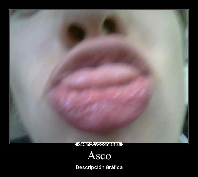 Asco - Descripción Gráfica