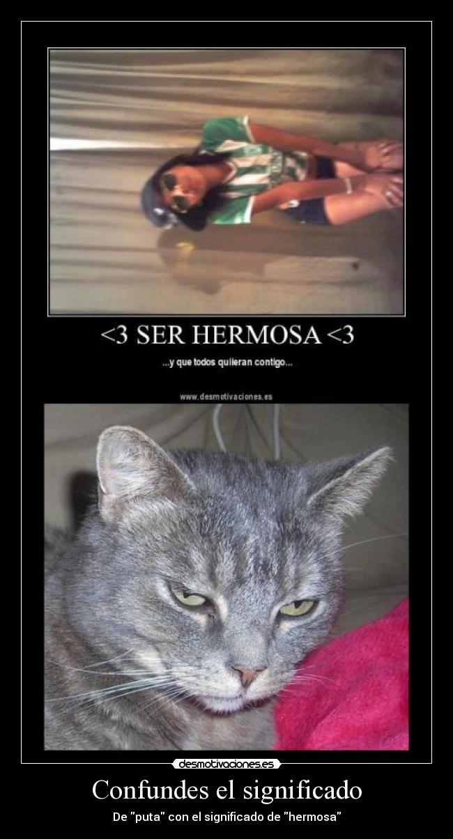 Confundes el significado -