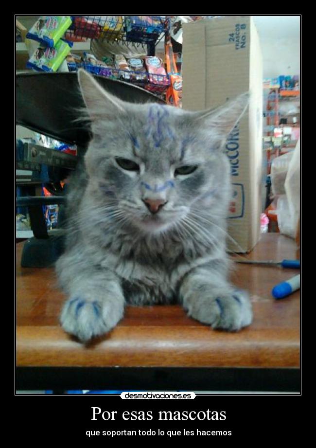 Por esas mascotas - 