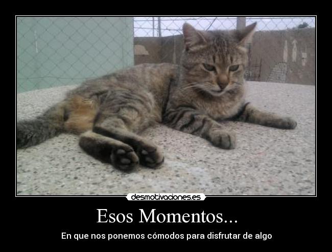 Esos Momentos... - En que nos ponemos cómodos para disfrutar de algo