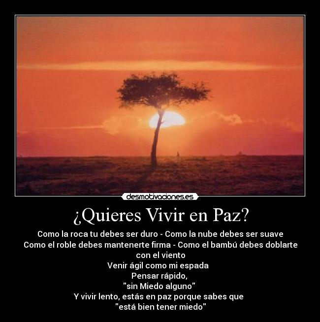 ¿Quieres Vivir en Paz? - Como la roca tu debes ser duro - Como la nube debes ser suave
Como el roble debes mantenerte firma - Como el bambú debes doblarte con el viento
Venir ágil como mi espada
Pensar rápido,
sin Miedo alguno
Y vivir lento, estás en paz porque sabes que
está bien tener miedo