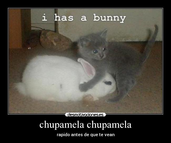 chupamela chupamela - rapido antes de que te vean